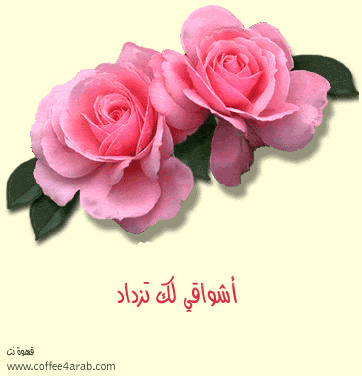 bille fllor